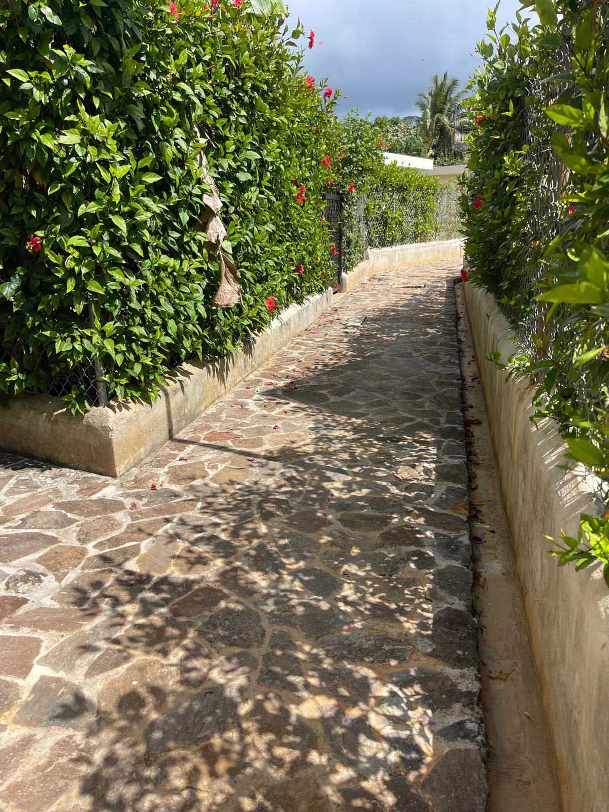 Chemin entre les maisons Le P3
