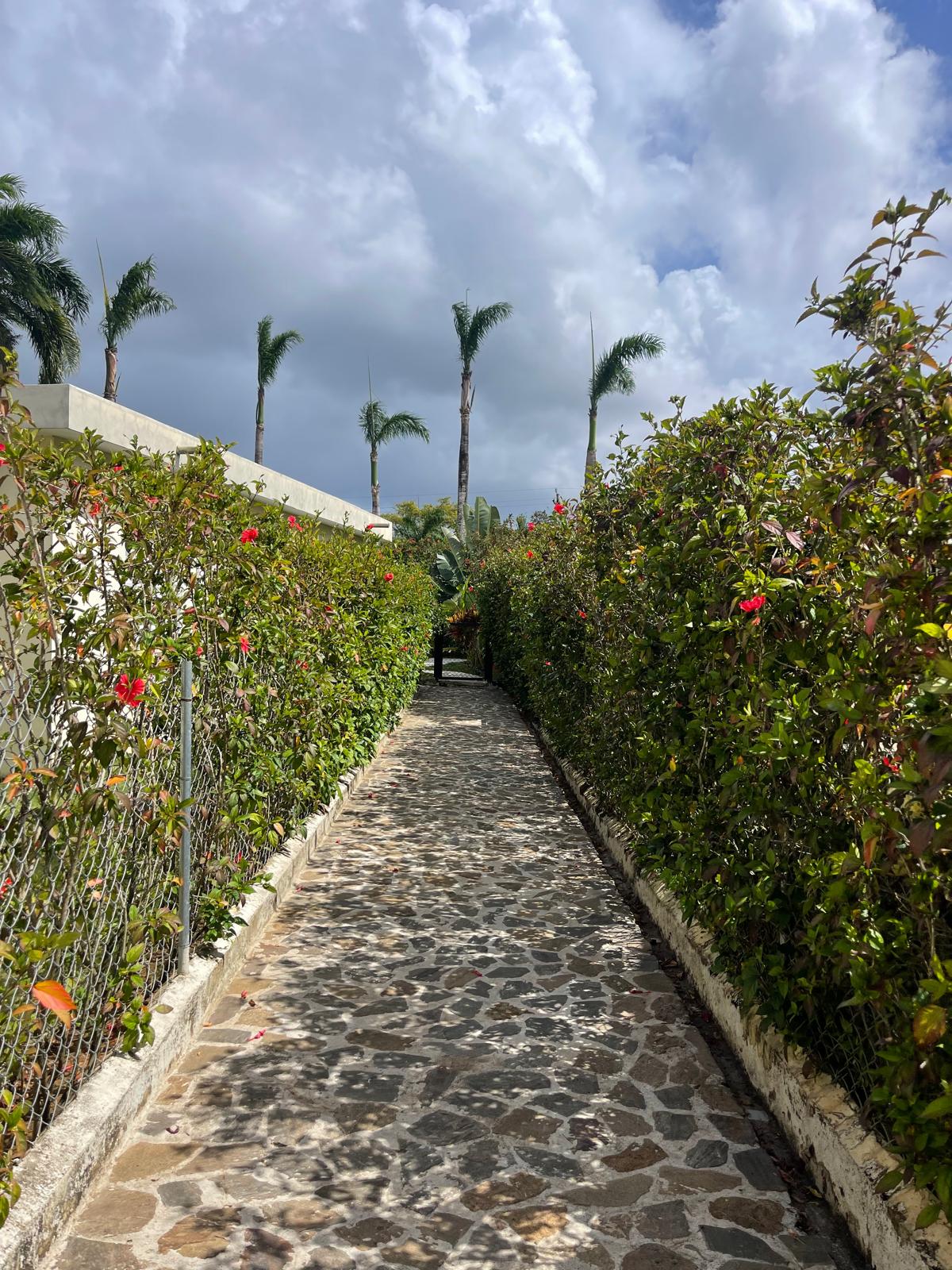Chemin entre les maisons Le P3